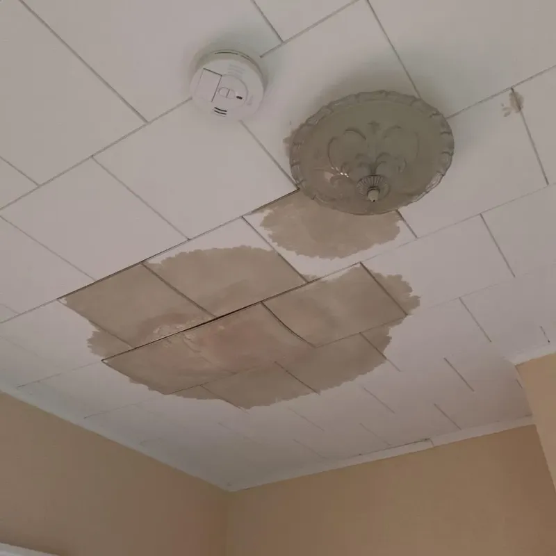 Ceiling Water Damage Repair in Poland, OH