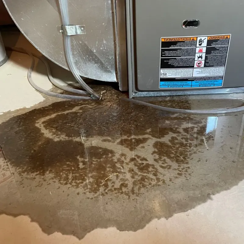Pipe Burst and Leak Restoration in Poland, OH