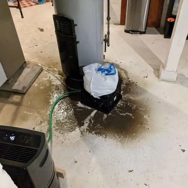 Sewage Backup Cleanup Service in Poland, OH